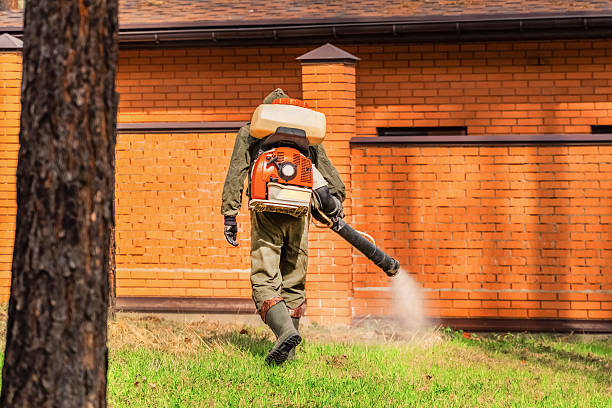 Bed Bug Clearance Verification and Documentation in Spanish Springs